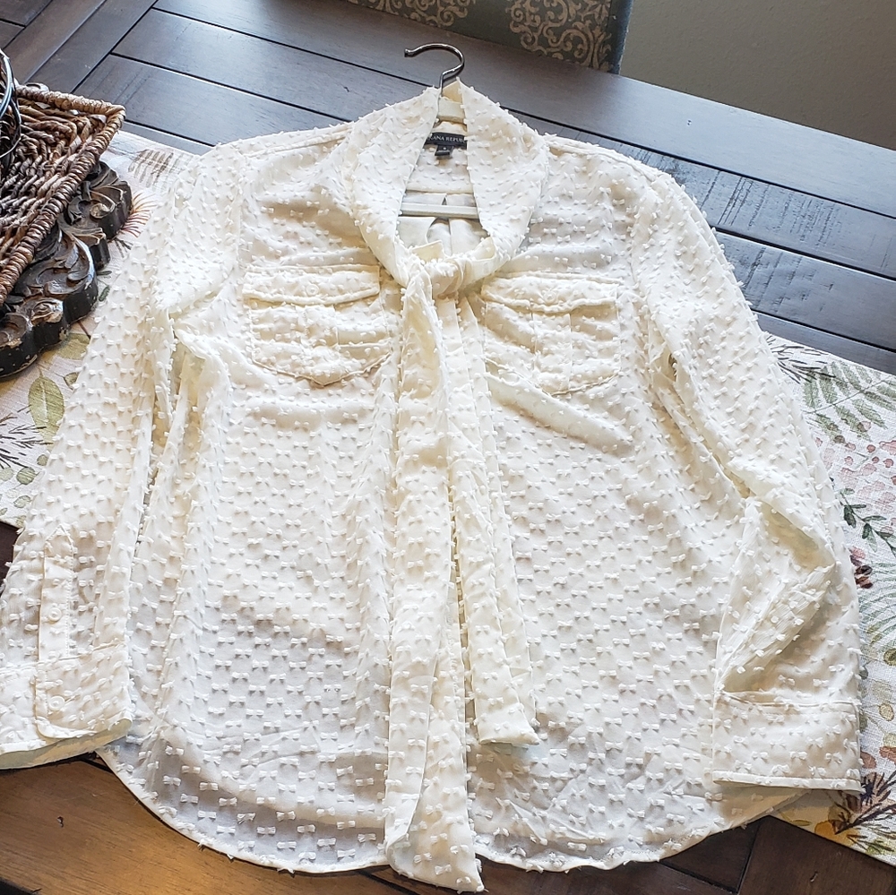 Banana Republic Simi Sheer Blouse